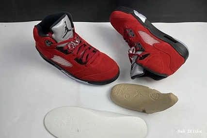 Jordan Reliable “Raging Air 5 Bull” 595 DD0587-600 0922